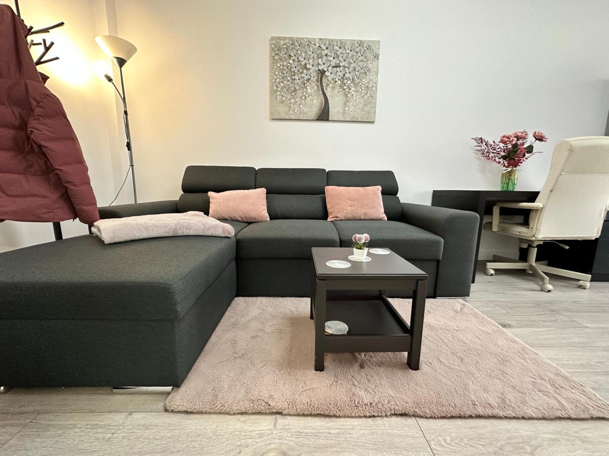 Angela Nordic Apartment. Suceava Exterior photo